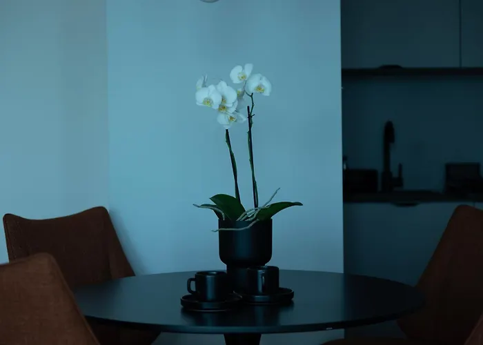 Janasa 13 アパート