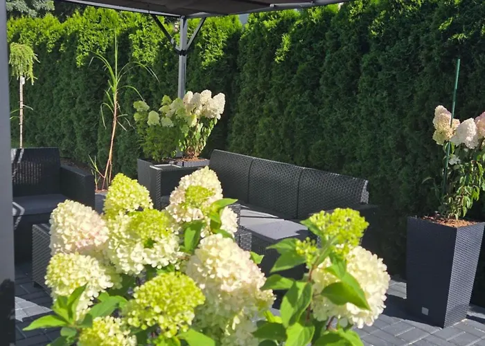 Janasa 13 アパート *